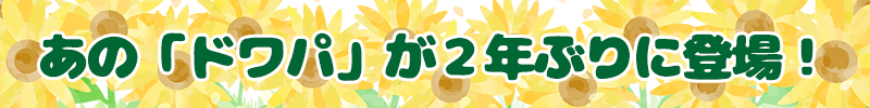 あの「ドワパ」が2年ぶりに登場!